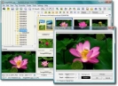 Náhled k programu FastStone Image Viewer 4.1